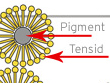 [Translate to Italienisch:] Pigmente in Tinte stabilisieren