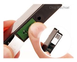 Chip for Primera LX 900 B black, single-use