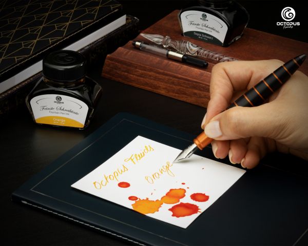 Fountain pen ink including converter, Writing ink for fountain pen, Orange