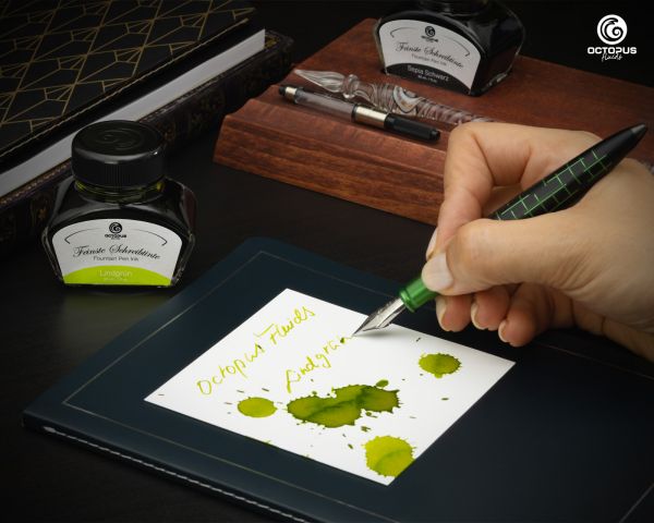 Fountain pen ink including converter, Writing ink for fountain pen, Lindgrün