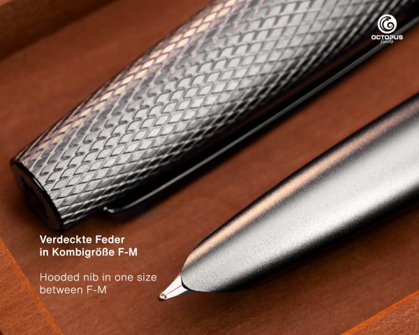 Fountain Pen Diplomat Viper silver with Leather Case and Writing Ink, Nib Size F/M