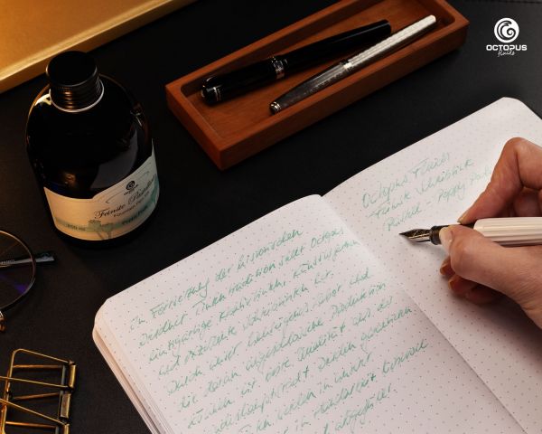 Fountain pen ink pastel "Poppy Pods" including converter, Writing ink for fountain pen, 250 ml