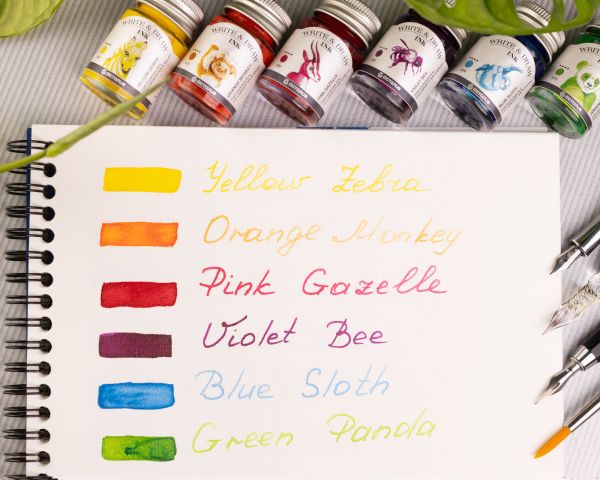 Write and Draw Ink Set, Schreib- und Zeichentusche, 6 Farben