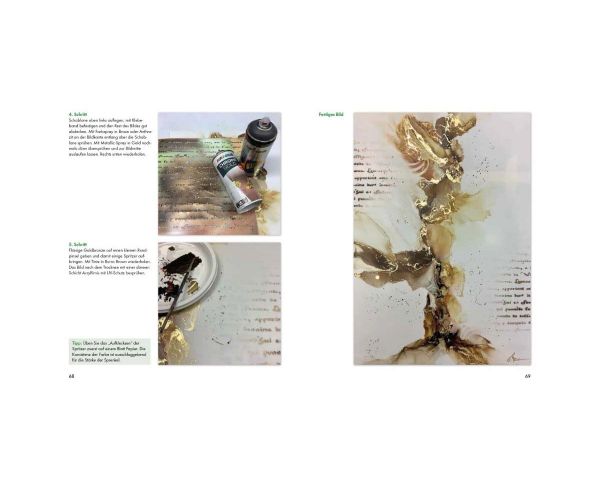 Libro Pittura con inchiostro all'alcool - nozioni di base, tecniche, motivi passo dopo passo