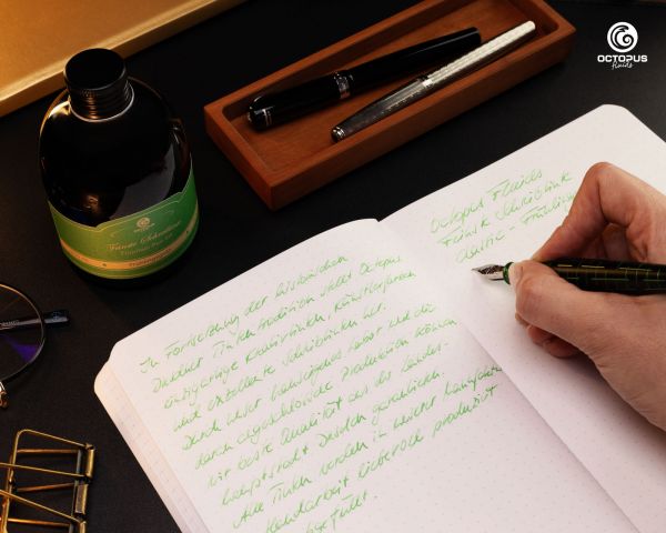 Classic fountain pen ink Frühlingsgrün