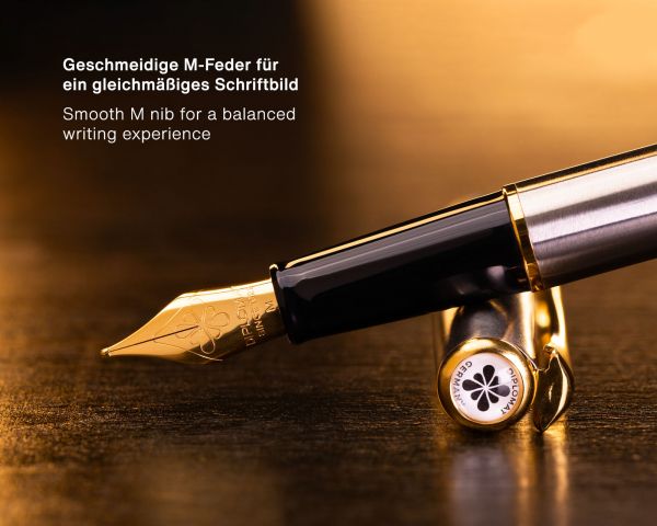 Penna stilografica Diplomat Traveller Acciaio inossidabile placcato oro con inchiostro da scrittura e convertitore, M-nib in acciaio inox