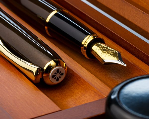 Füllhalter-Set Diplomat Excellence A2 Marrakesh vergoldet mit Schreibtinte und Stiftetui aus Holz, S