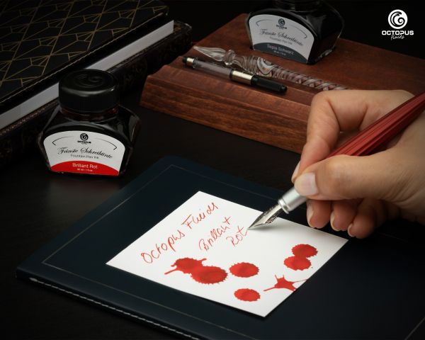 Classic fountain pen ink Brilliant Rot